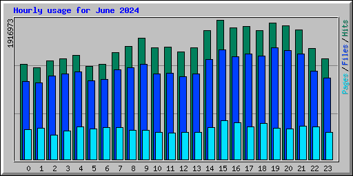 Hourly usage for June 2024