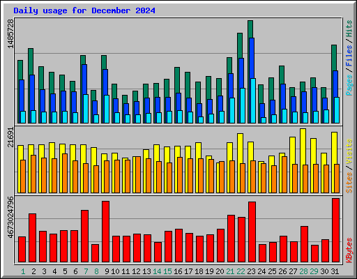 Daily usage for December 2024