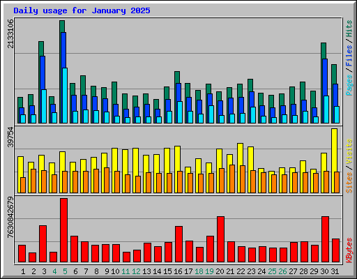 Daily usage for January 2025