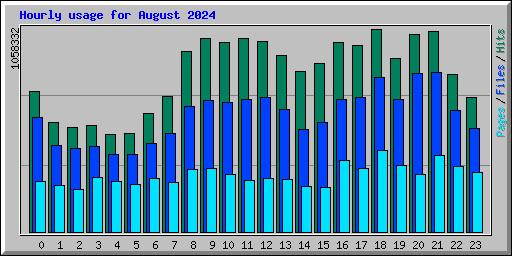 Hourly usage for August 2024