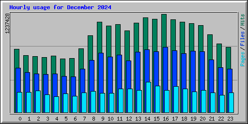 Hourly usage for December 2024