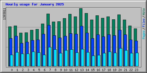 Hourly usage for January 2025